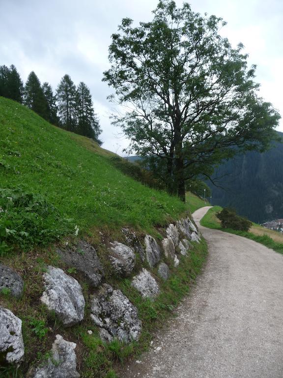 كولفوسكو Apartments Residence Alta Badia المظهر الخارجي الصورة